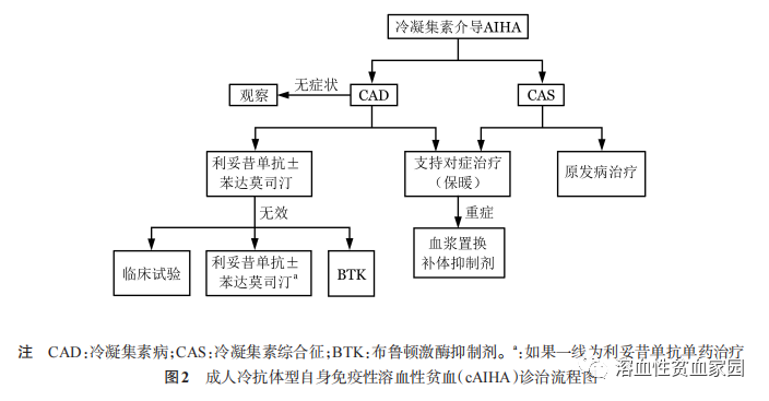 疾病指南 | 中国成人自身免疫性溶血性贫血诊疗指南（2023年版）