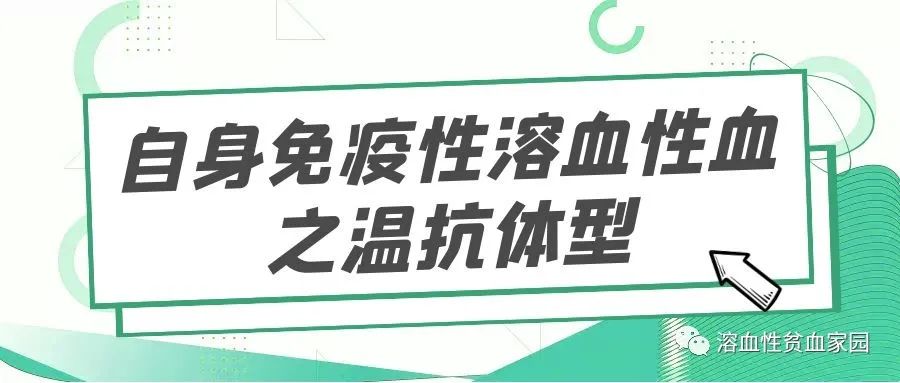 认识疾病｜自身免疫性溶血性贫血之温抗体型