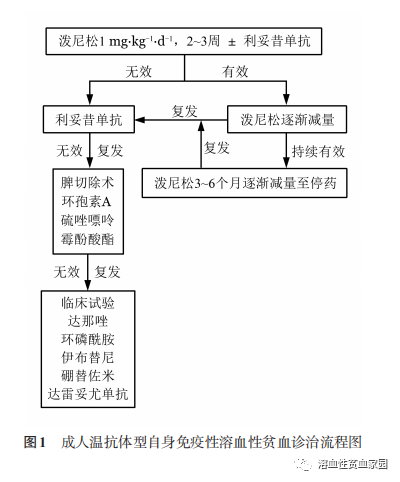 疾病指南 | 中国成人自身免疫性溶血性贫血诊疗指南（2023年版）