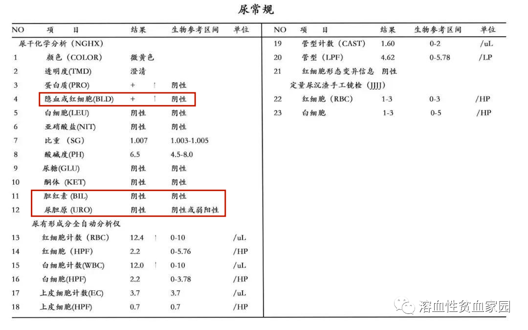 认识检查 | 溶血性贫血患者尿液检查看什么？