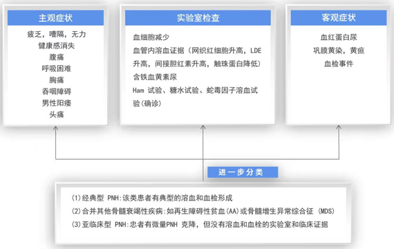 大咖零距离｜周虎教授谈阵发性睡眠性血红蛋白尿症（PNH）