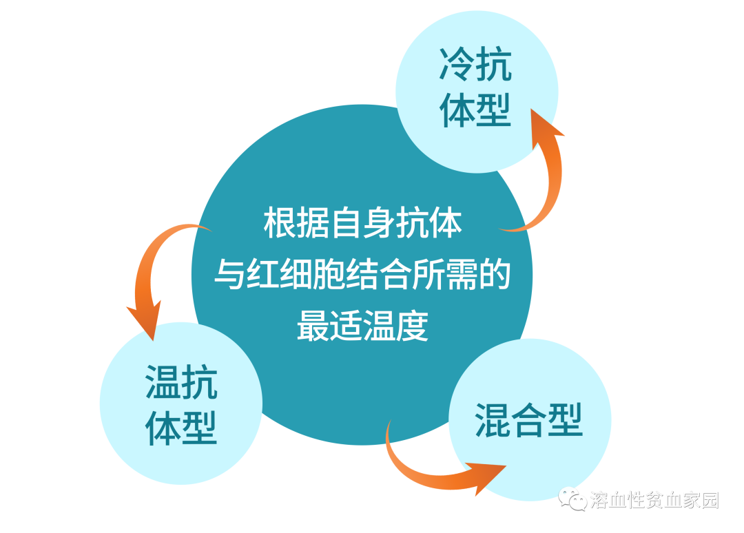 认识疾病 | 自身免疫性溶血性贫血（AIHA）分类